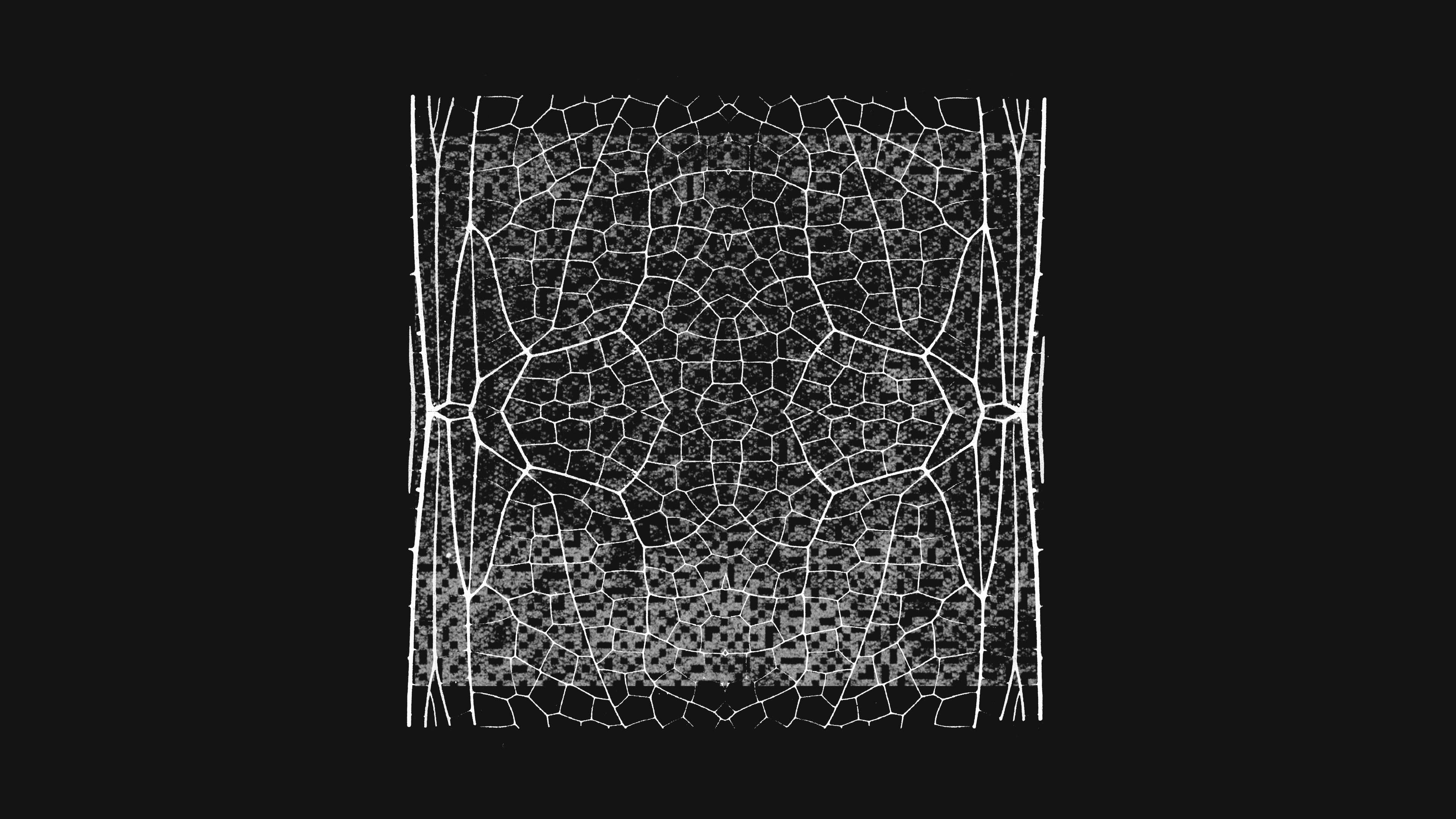 Anthropic 扩大 Project Glasswing:AI 安全工具开始进入关键基础设施代码库